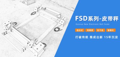 创新技术引领称重皮带秤发展,国诺信科如何突破重围